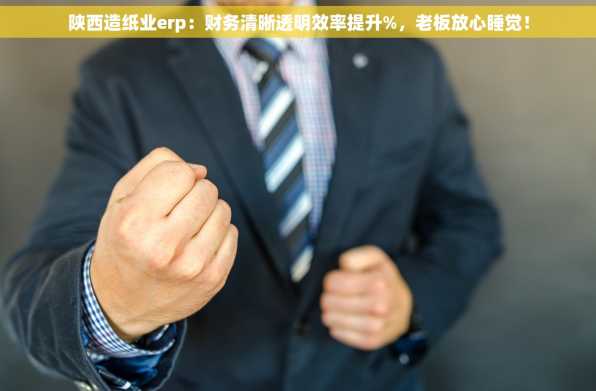 陕西造纸业erp：财务清晰透明效率提升%，老板放心睡觉！