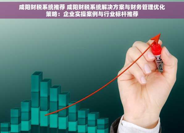咸阳财税系统推荐 咸阳财税系统解决方案与财务管理优化策略：企业实操案例与行业标杆推荐