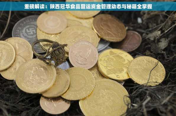 重磅解读：陕西冠华食品营运资金管理动态与秘籍全掌握