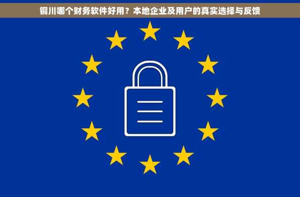 铜川哪个财务软件好用？本地企业及用户的真实选择与反馈