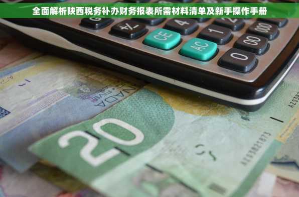 全面解析陕西税务补办财务报表所需材料清单及新手操作手册