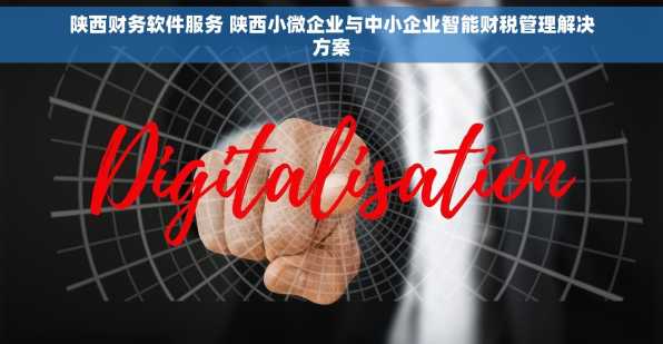 陕西财务软件服务 陕西小微企业与中小企业智能财税管理解决方案