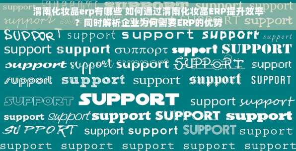 渭南化妆品erp有哪些 如何通过渭南化妆品ERP提升效率？同时解析企业为何需要ERP的优势