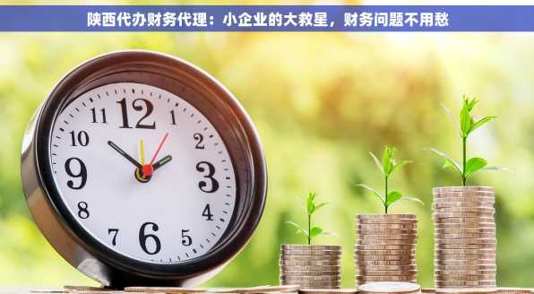 陕西代办财务代理：小企业的大救星，财务问题不用愁