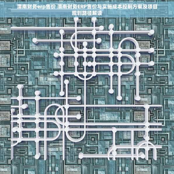 渭南财务erp售价 渭南财务ERP售价与实施成本控制方案及项目规划路径解读