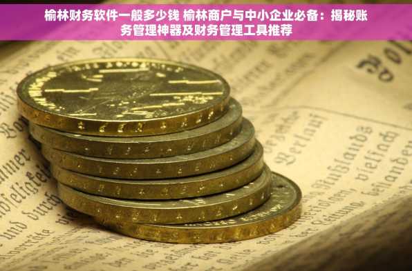 榆林财务软件一般多少钱 榆林商户与中小企业必备：揭秘账务管理神器及财务管理工具推荐