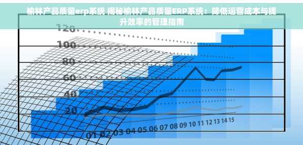 榆林产品质量erp系统 揭秘榆林产品质量ERP系统：降低运营成本与提升效率的管理指南