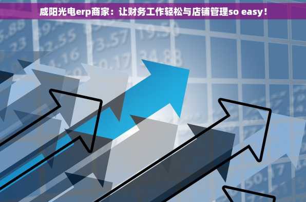 咸阳光电erp商家：让财务工作轻松与店铺管理so easy！