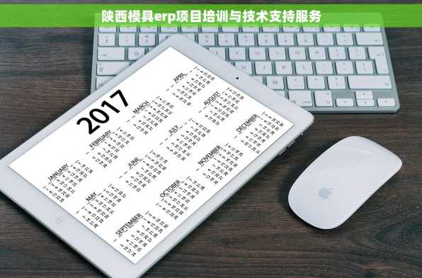 陕西模具erp项目培训与技术支持服务