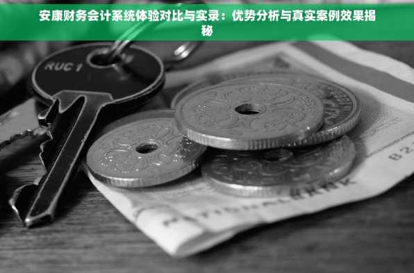 安康财务会计系统体验对比与实录：优势分析与真实案例效果揭秘