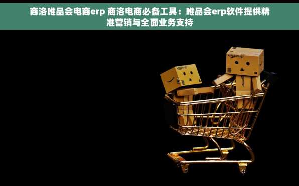 商洛唯品会电商erp 商洛电商必备工具：唯品会erp软件提供精准营销与全面业务支持