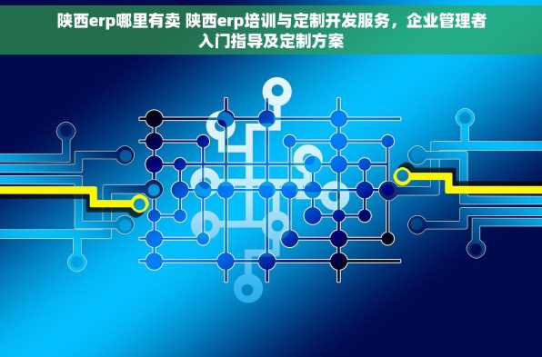 陕西erp哪里有卖 陕西erp培训与定制开发服务，企业管理者入门指导及定制方案