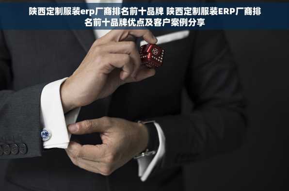 陕西定制服装erp厂商排名前十品牌 陕西定制服装ERP厂商排名前十品牌优点及客户案例分享