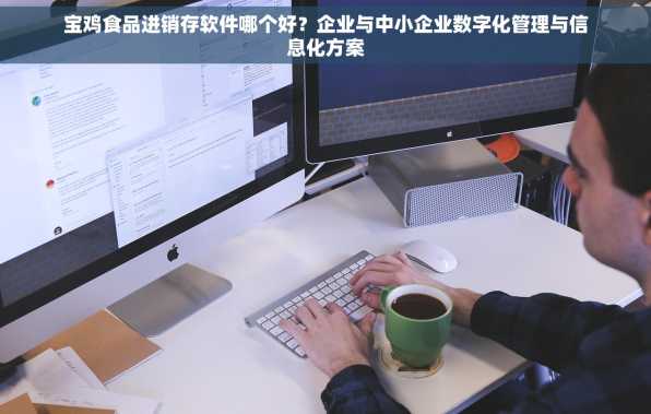 宝鸡食品进销存软件哪个好？企业与中小企业数字化管理与信息化方案