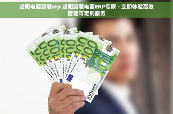 咸阳电商服装erp 咸阳服装电商ERP专家 - 立即体验高效管理与定制服务