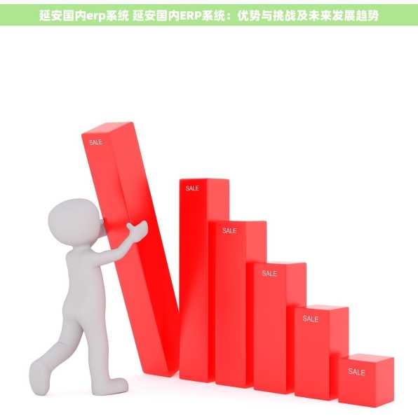 延安国内erp系统 延安国内ERP系统：优势与挑战及未来发展趋势