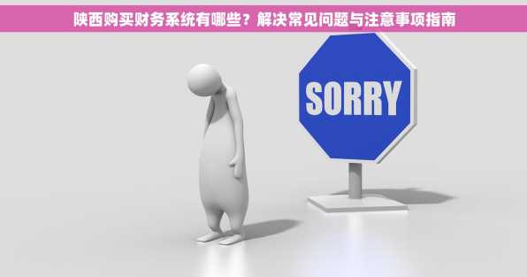 陕西购买财务系统有哪些？解决常见问题与注意事项指南