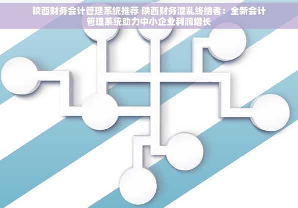 陕西财务会计管理系统推荐 陕西财务混乱终结者：全新会计管理系统助力中小企业利润增长