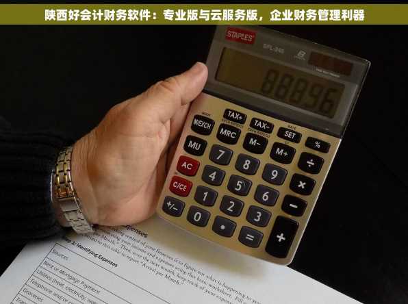 陕西好会计财务软件：专业版与云服务版，企业财务管理利器
