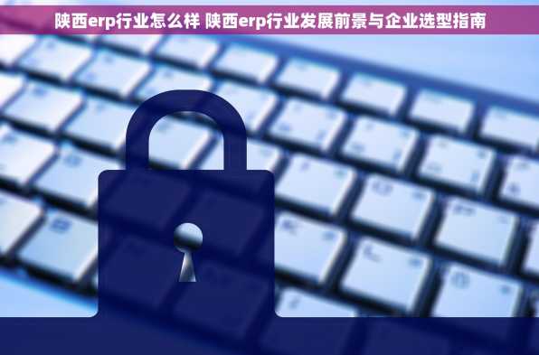 陕西erp行业怎么样 陕西erp行业发展前景与企业选型指南