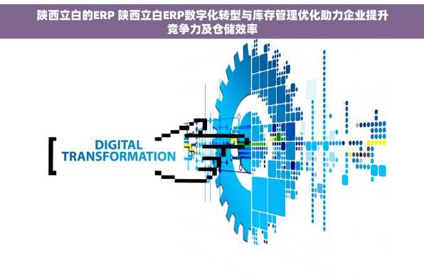 陕西立白的ERP 陕西立白ERP数字化转型与库存管理优化助力企业提升竞争力及仓储效率