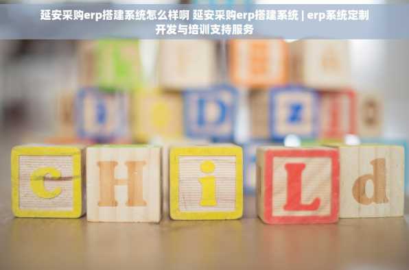 延安采购erp搭建系统怎么样啊 延安采购erp搭建系统 | erp系统定制开发与培训支持服务