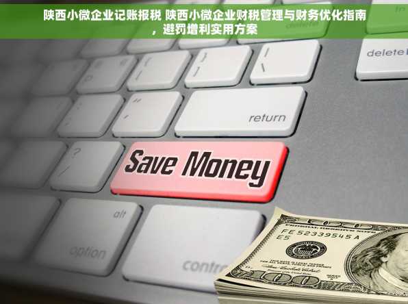 陕西小微企业记账报税 陕西小微企业财税管理与财务优化指南，避罚增利实用方案